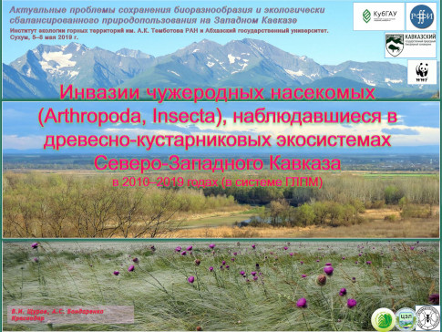Инвазии чужеродных насекомых (Arthropoda, Insecta), наблюдавшиеся в древесно-кустарнивых экосистемах Северо-Западного Кавказа в 2010-2019 годах (в системе ГЛПМ)