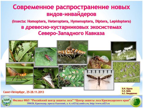 Современное распространение новых видов-инвайдеров (Insecta: Homoptera, Heteroptera, Hymenoptera, Diptera, Lepidoptera) в древесно-кустарниковых экосистемах Северо-Западного Кавказа