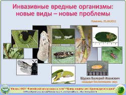 Инвазивные виды дендрофильных насекомых в лесонасаждениях Северного-Кавказа