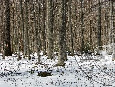 букняк_апрель___Апшеронское